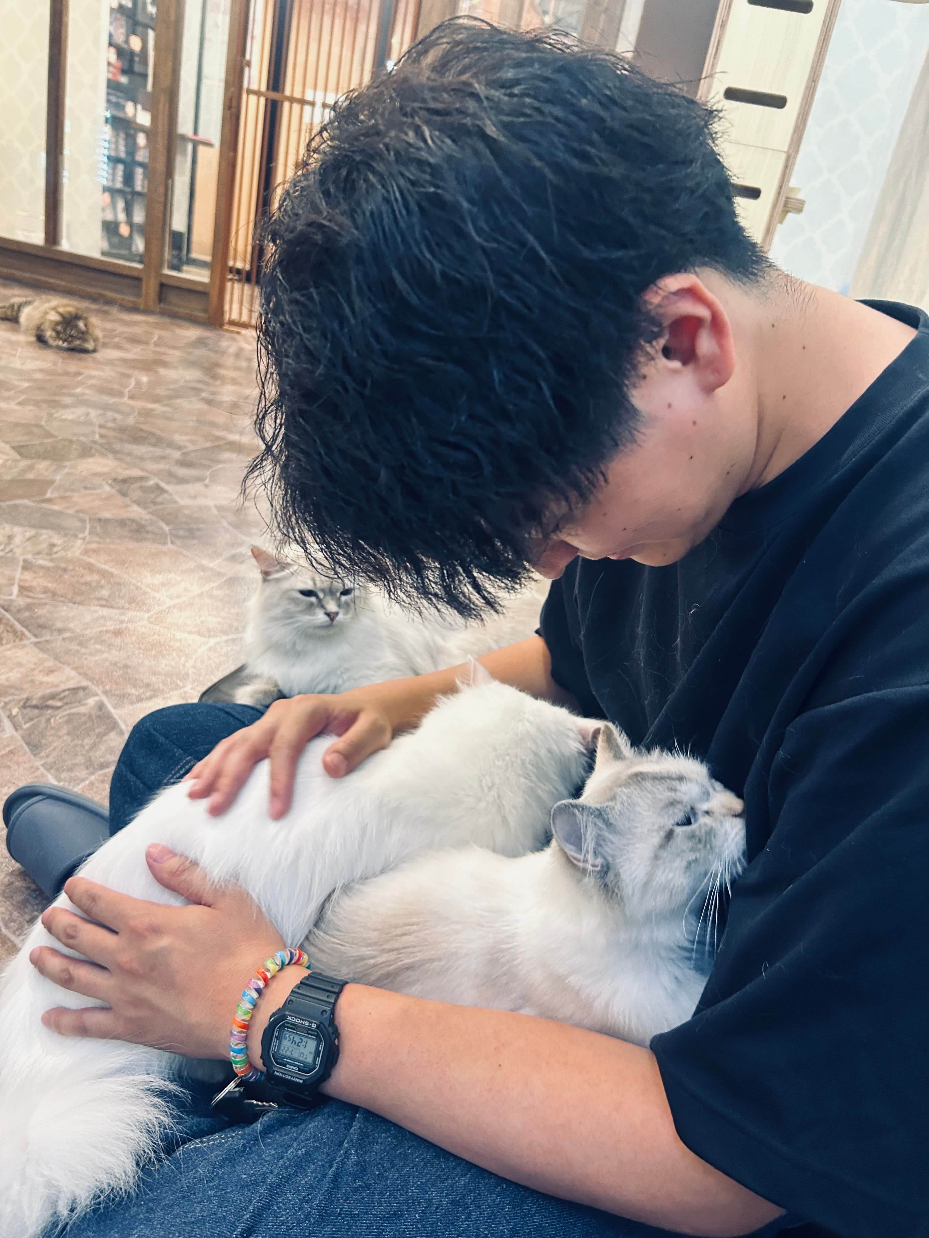 一斗 颯介